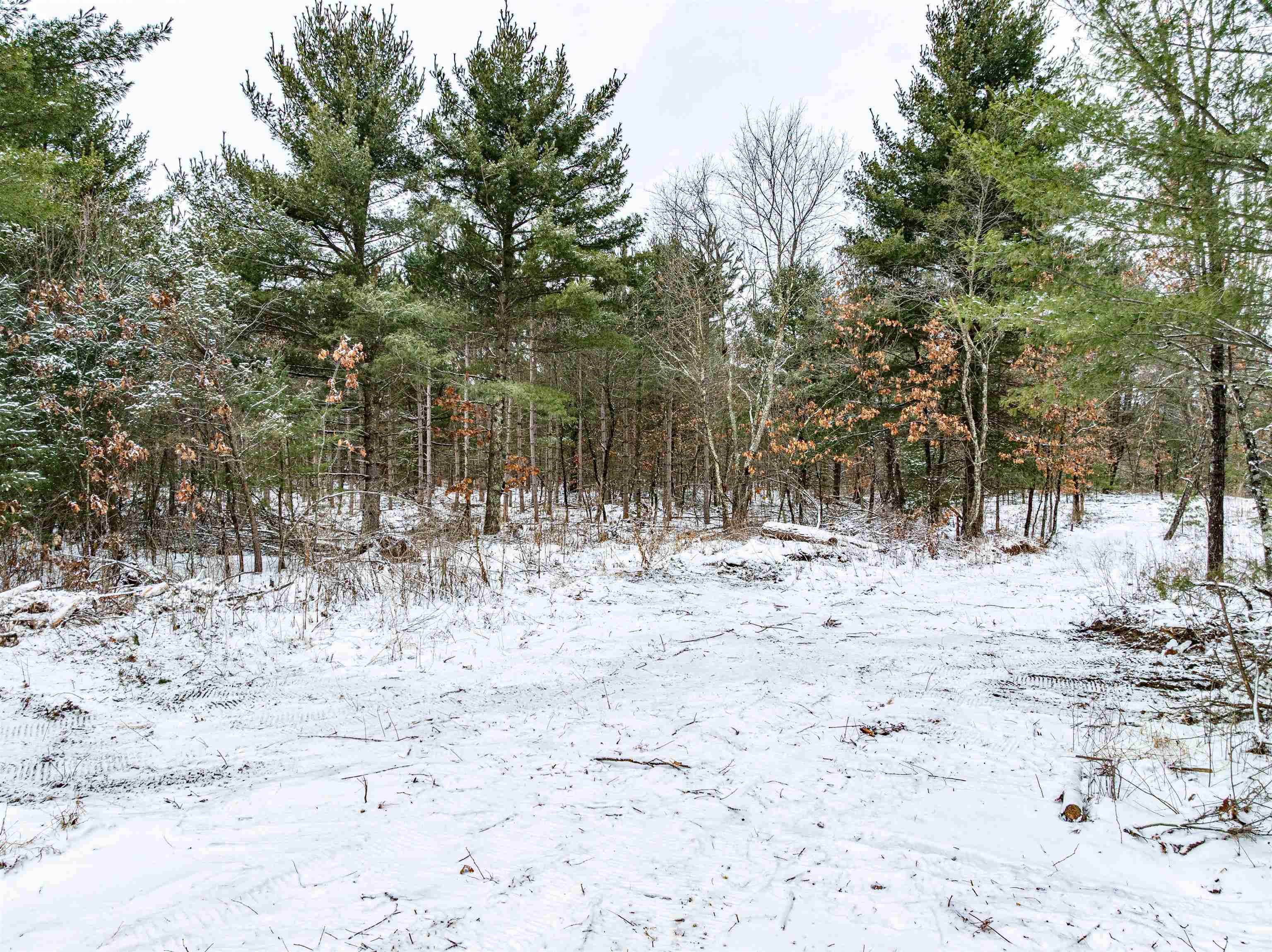 80-ac Freedom Wisconsin Dells, WI 53965 - Photo 17 of 42