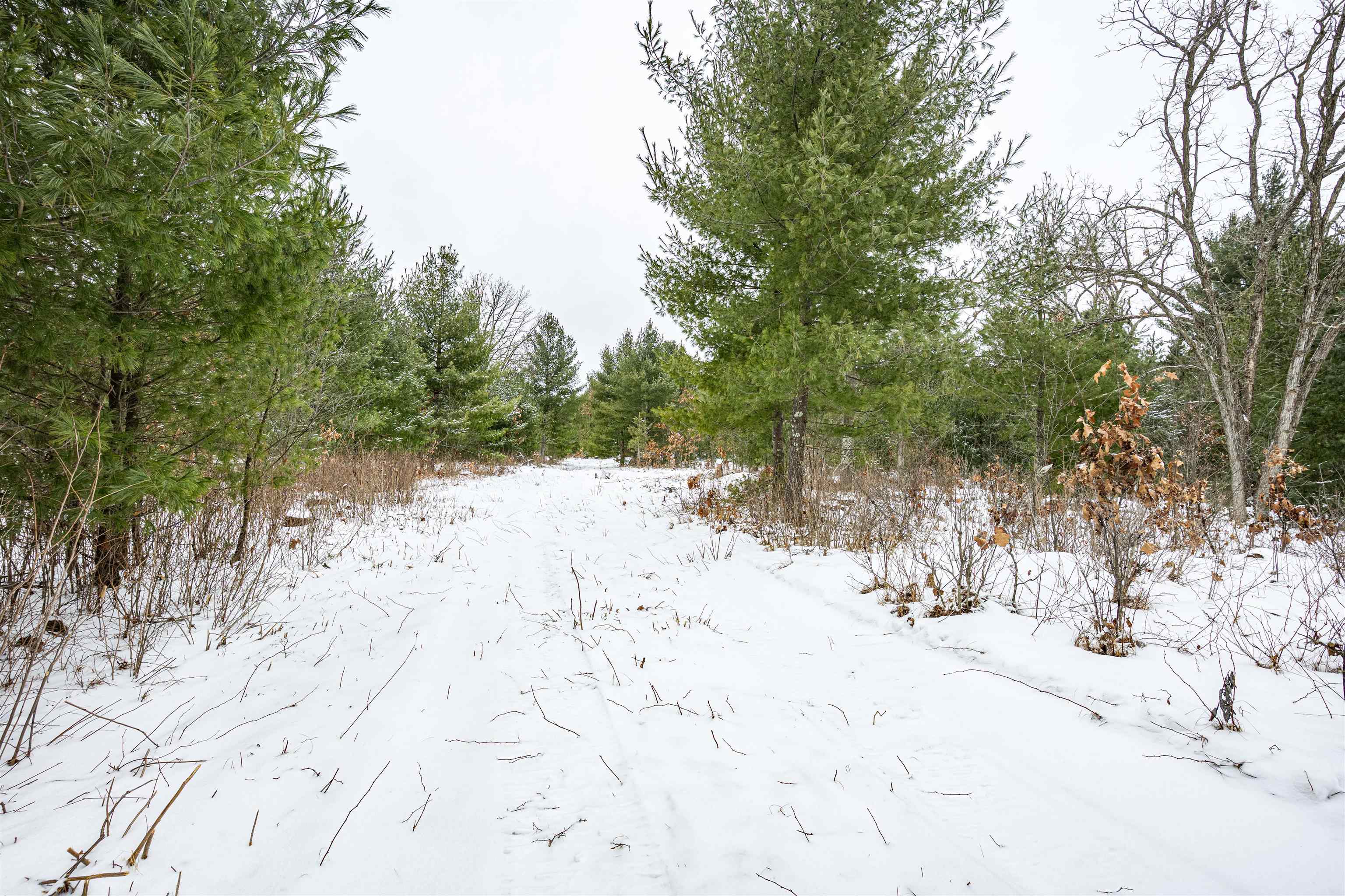 80-ac Freedom Wisconsin Dells, WI 53965 - Photo 21 of 42