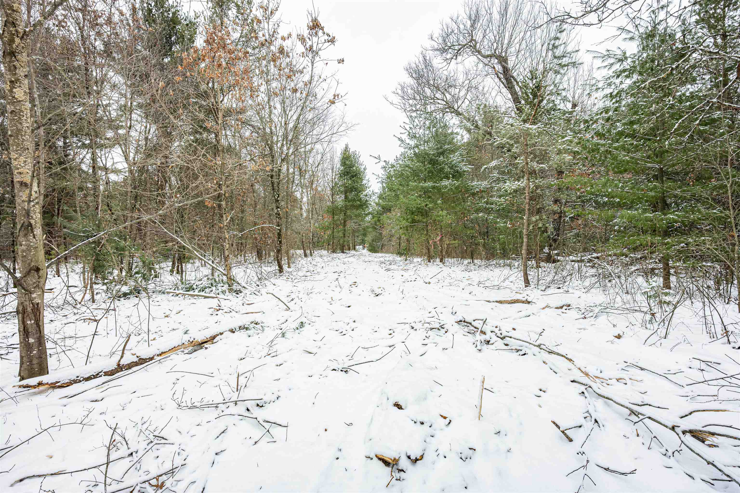 80-ac Freedom Wisconsin Dells, WI 53965 - Photo 24 of 42