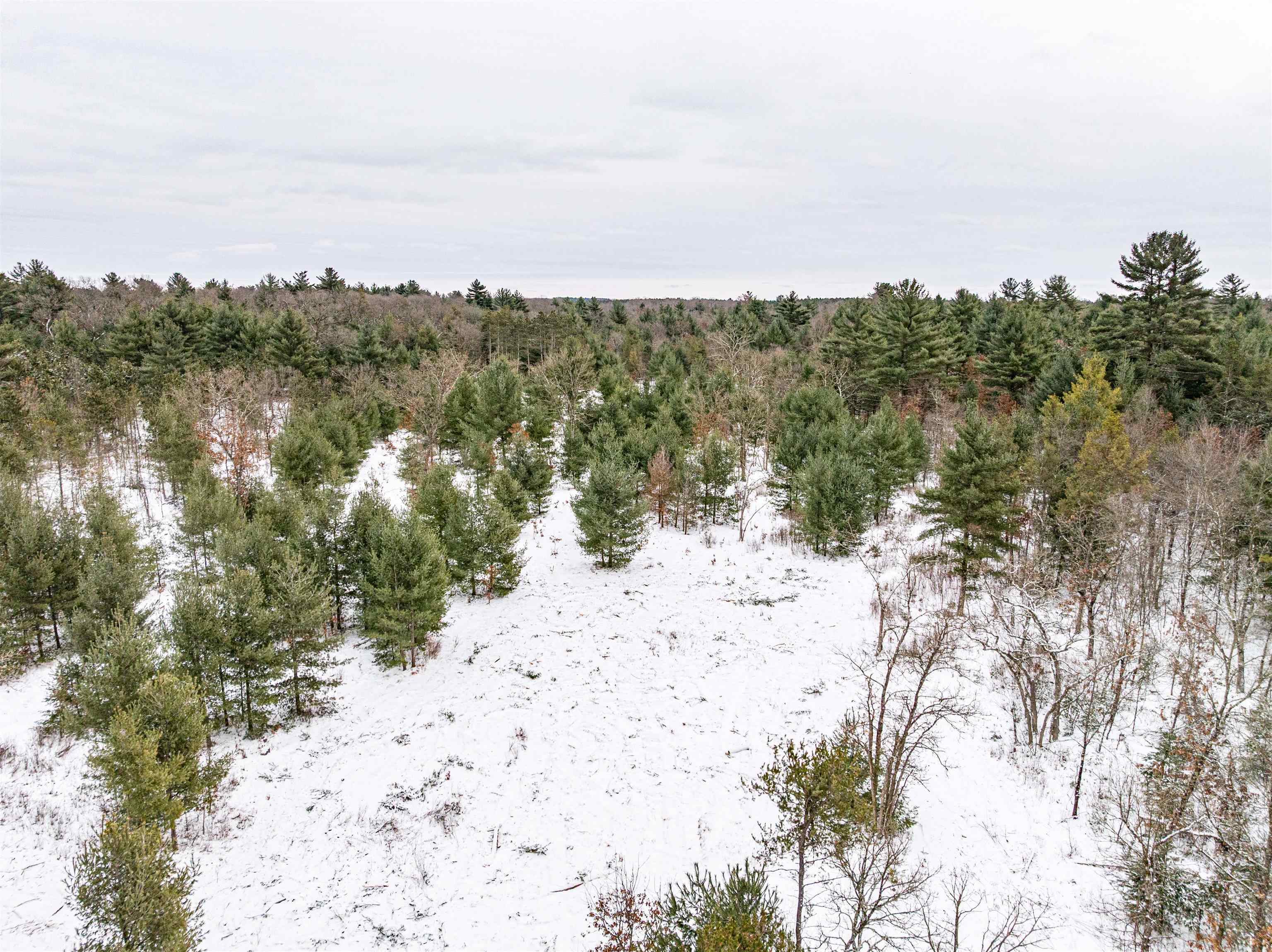 80-ac Freedom Wisconsin Dells, WI 53965 - Photo 28 of 42