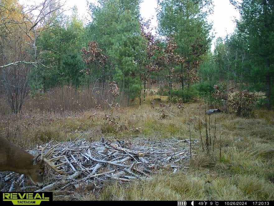 80-ac Freedom Wisconsin Dells, WI 53965 - Photo 38 of 42