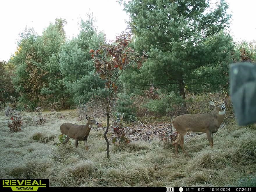 80-ac Freedom Wisconsin Dells, WI 53965 - Photo 41 of 42