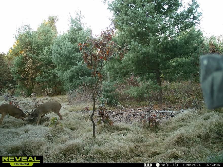 80-ac Freedom Wisconsin Dells, WI 53965 - Photo 42 of 42