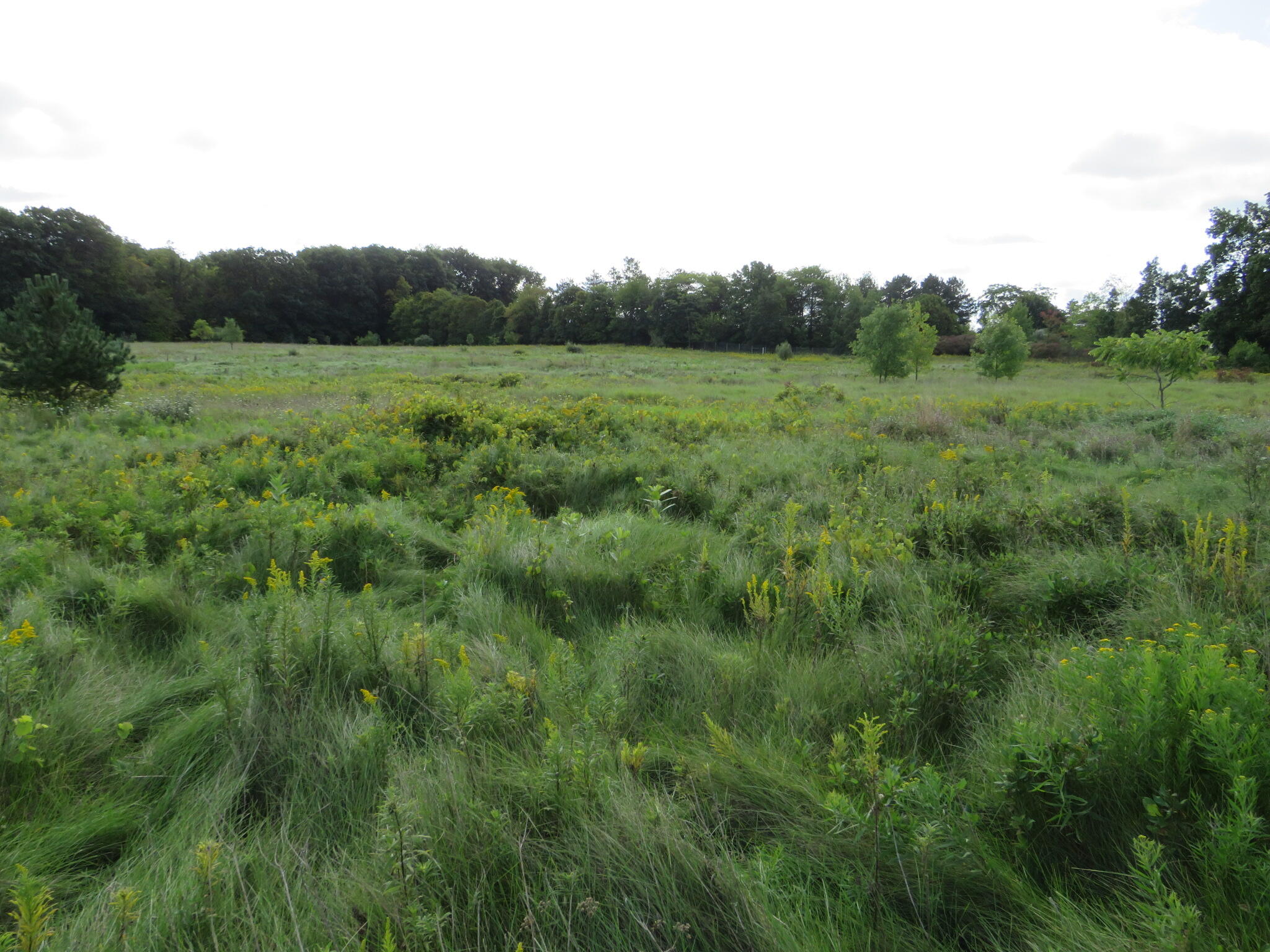 Dobie Road Okemos, MI 48864 - Photo 11 of 25 IMG_6577