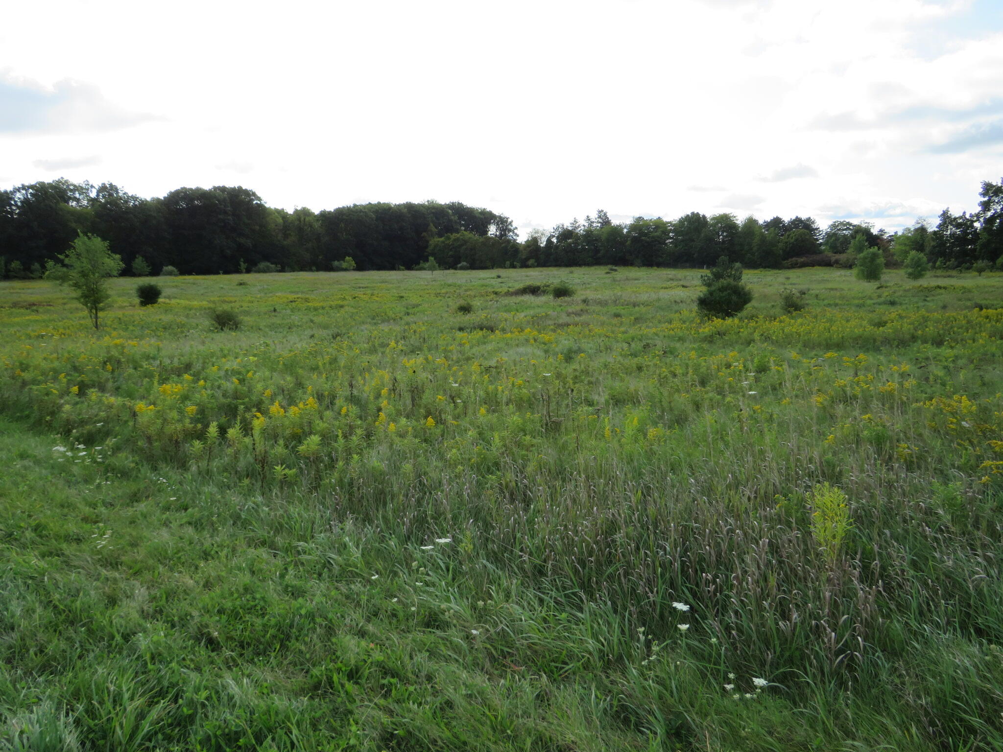 Dobie Road Okemos, MI 48864 - Photo 12 of 25 IMG_6580