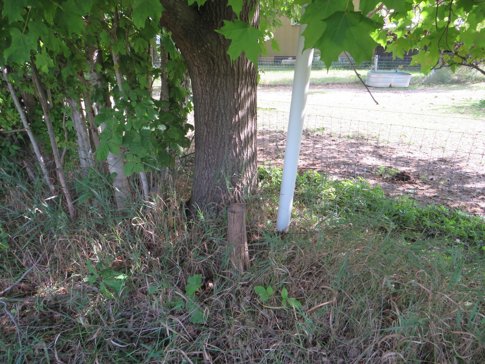 Dobie Road Okemos, MI 48864 - Photo 13 of 25 IMG_6582