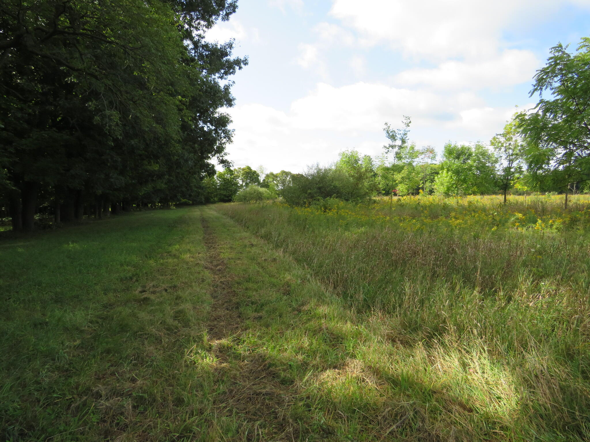 Dobie Road Okemos, MI 48864 - Photo 14 of 25 IMG_6585