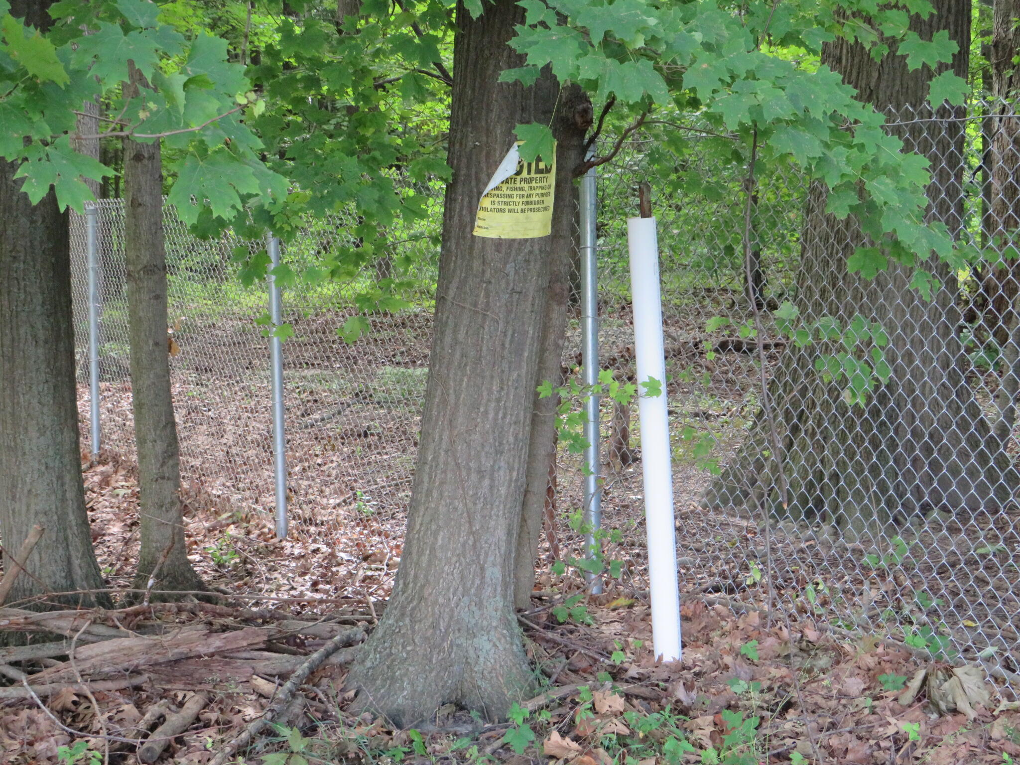 Dobie Road Okemos, MI 48864 - Photo 19 of 25 IMG_6600