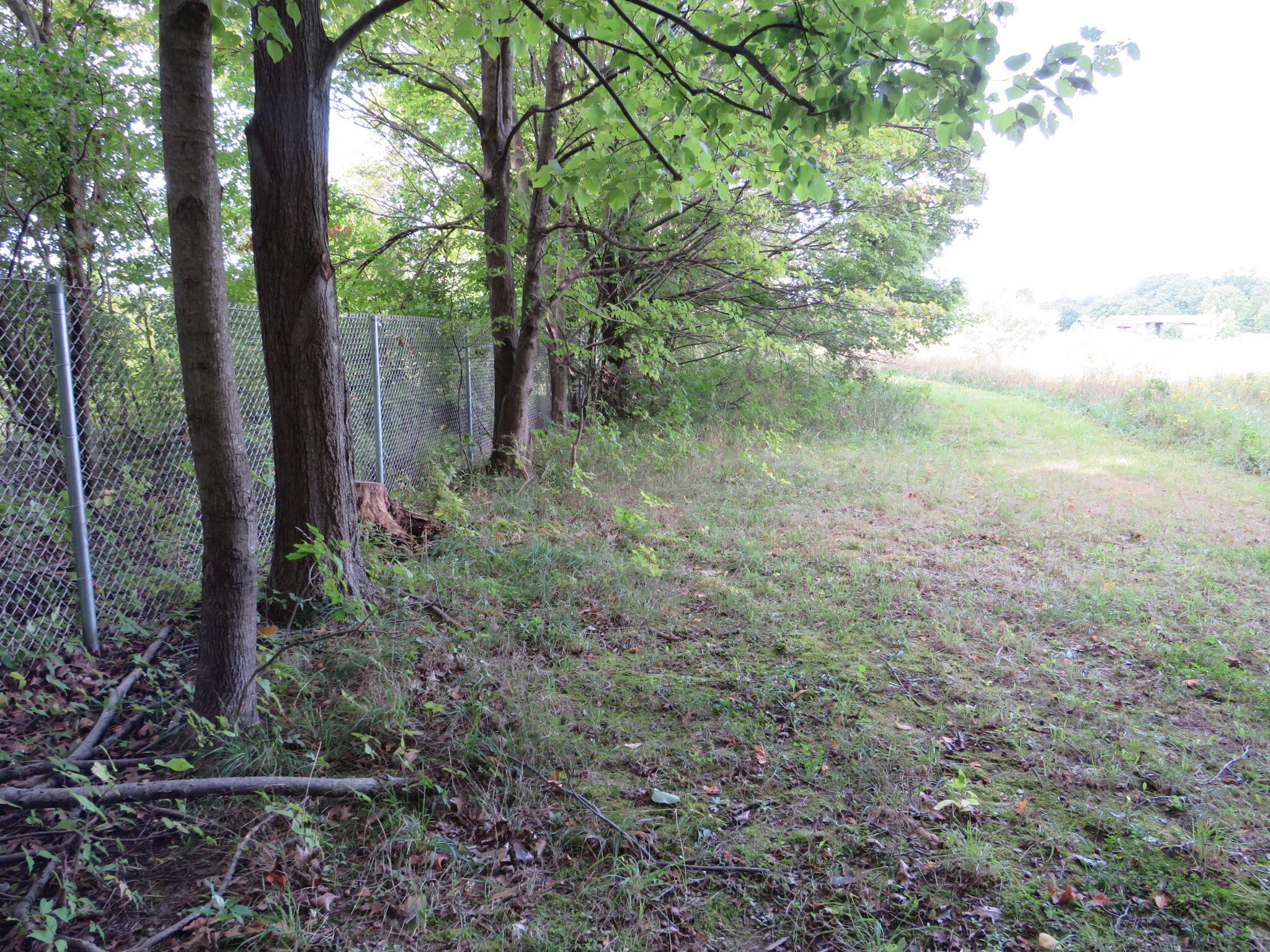 Dobie Road Okemos, MI 48864 - Photo 20 of 25 IMG_6601