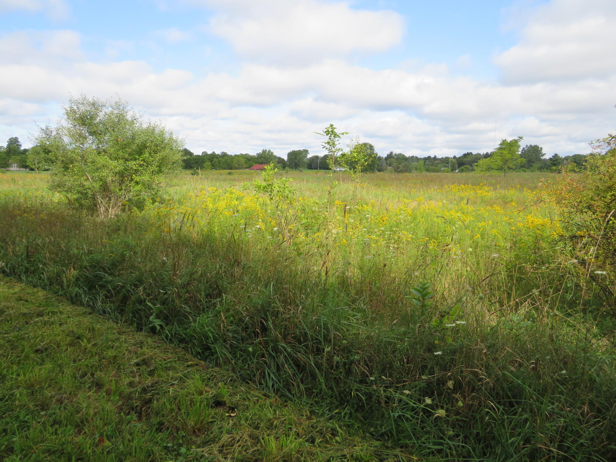 Dobie Road Okemos, MI 48864 - Photo 21 of 25 IMG_6604