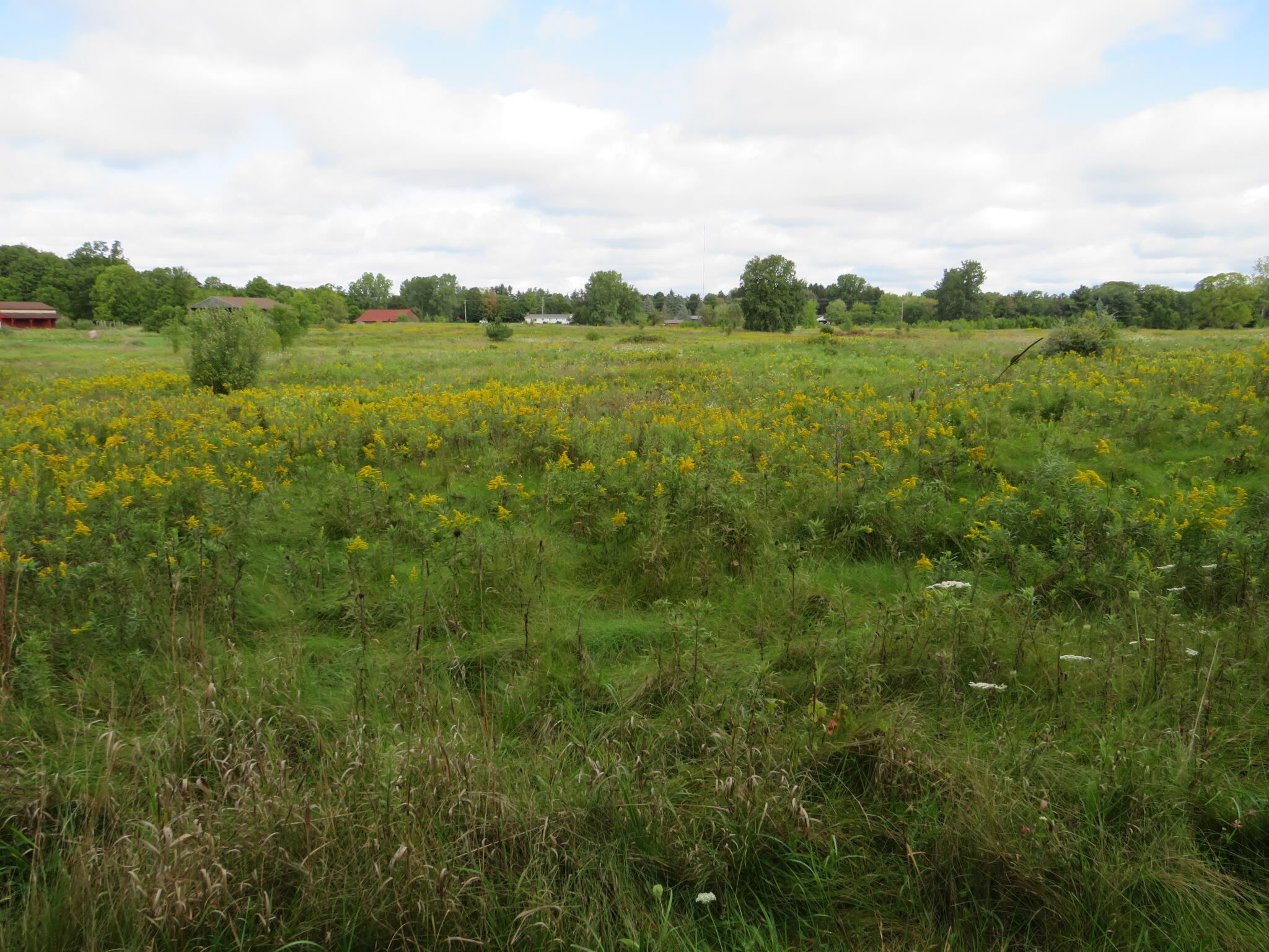 Dobie Road Okemos, MI 48864 - Photo 23 of 25 IMG_6610