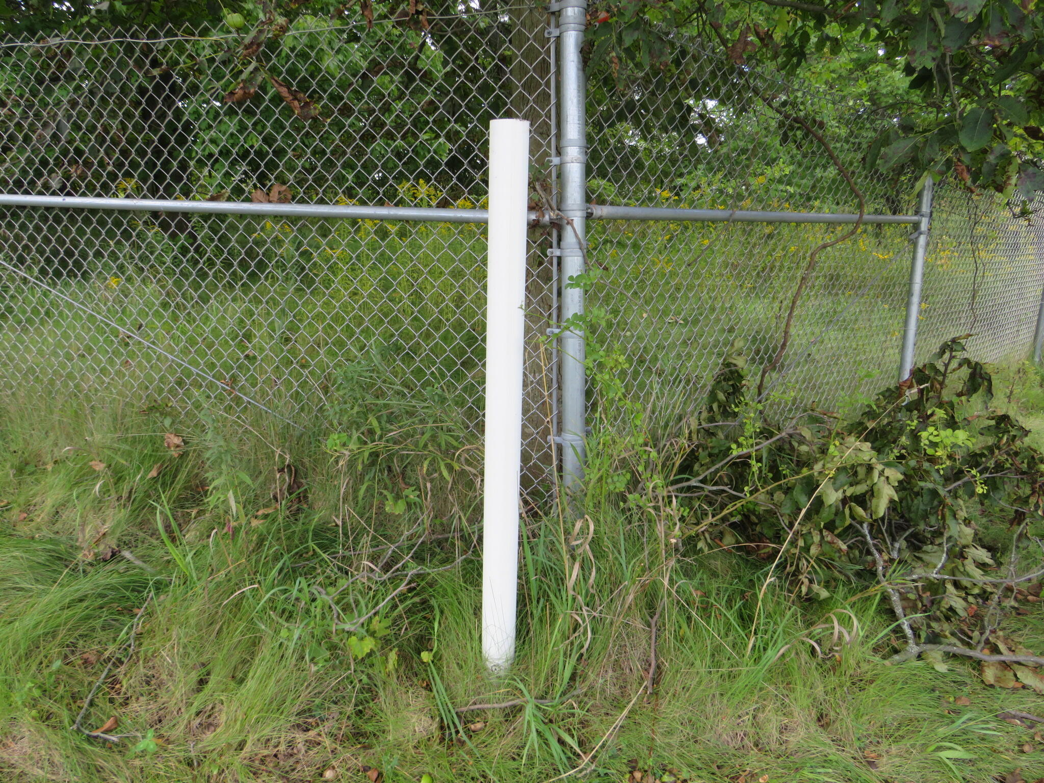Dobie Road Okemos, MI 48864 - Photo 24 of 25 IMG_6612