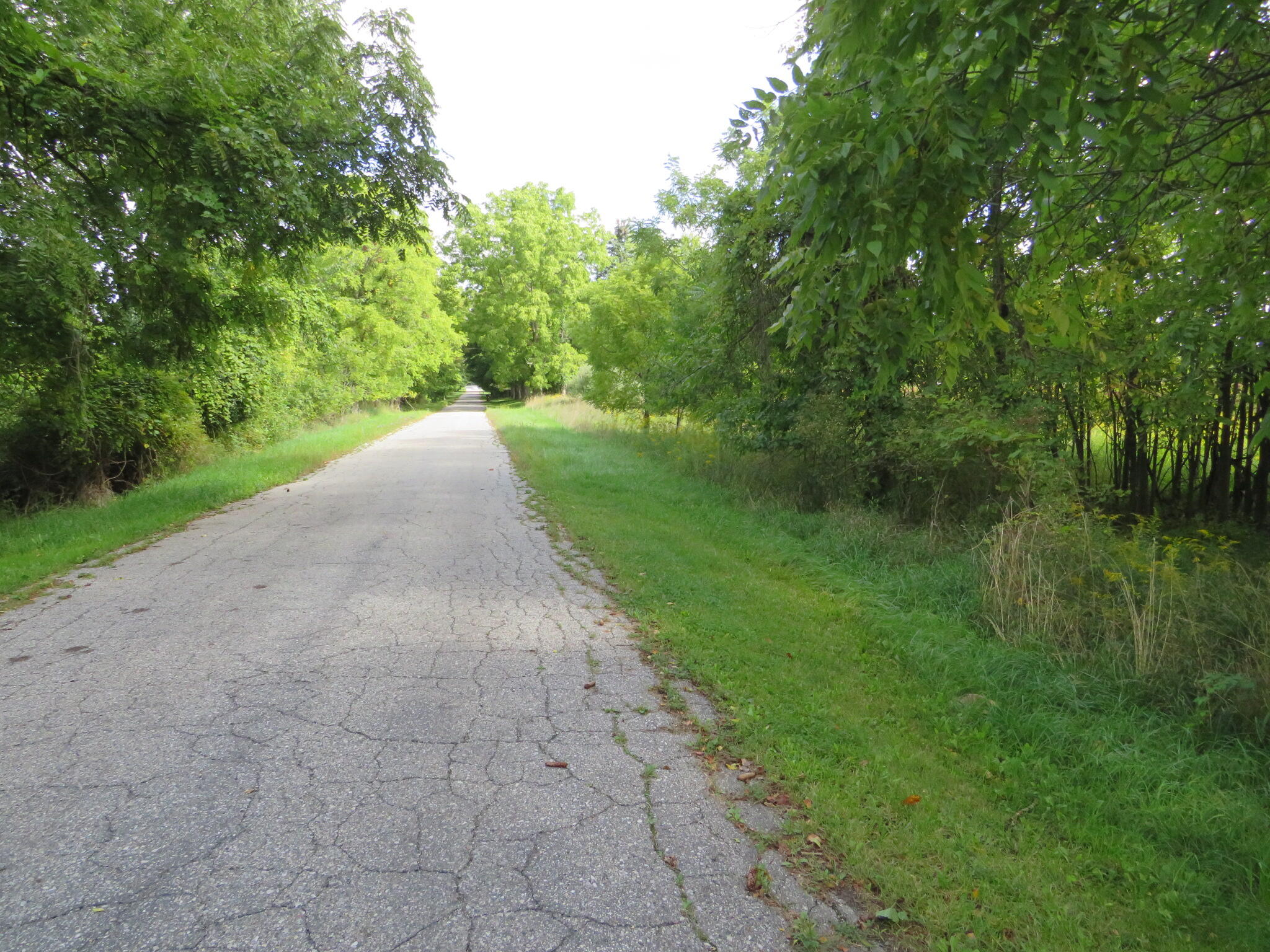 Dobie Road Okemos, MI 48864 - Photo 6 of 25 IMG_6555