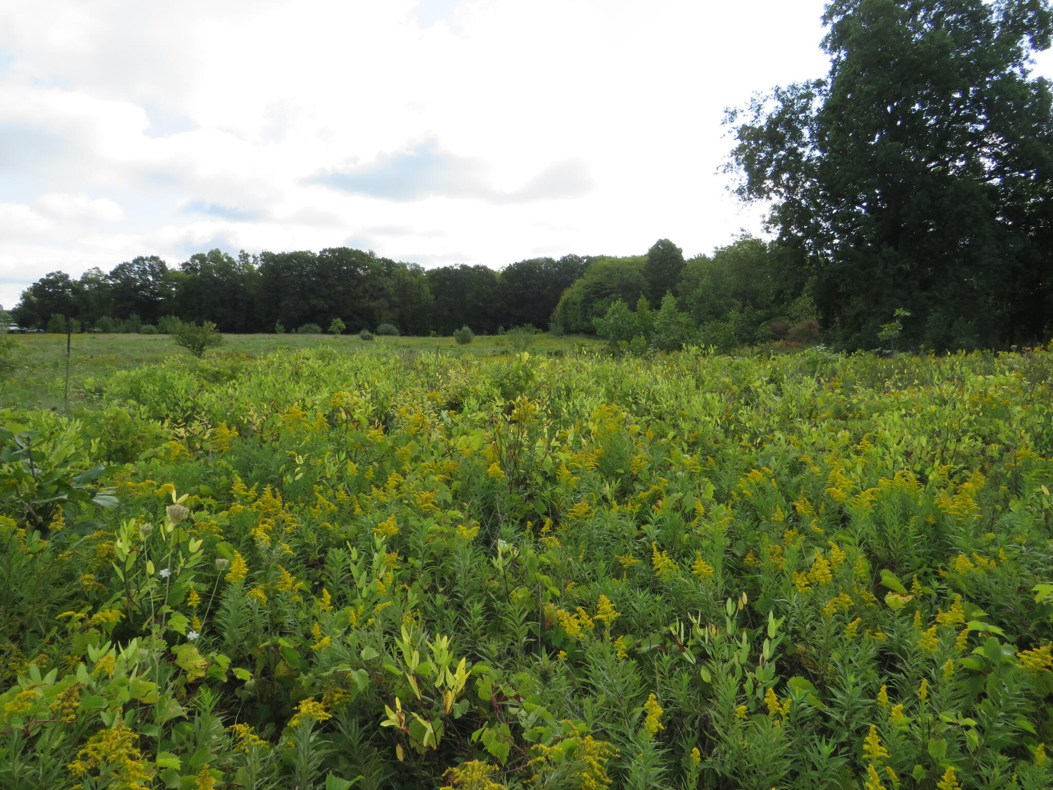 Dobie Road Okemos, MI 48864 - Photo 9 of 25 IMG_6568