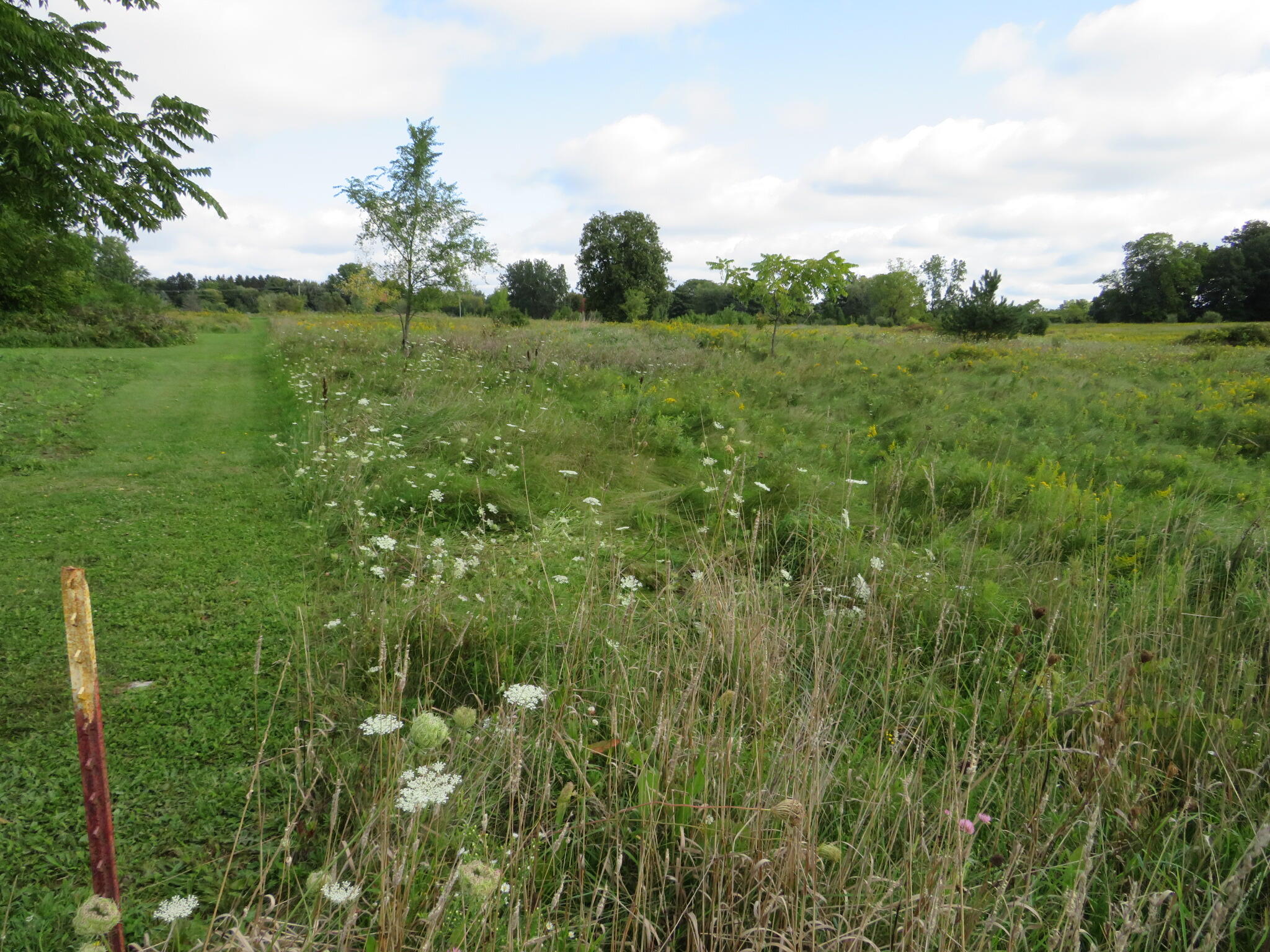 Dobie Road Okemos, MI 48864 - Photo 10 of 25 IMG_6575