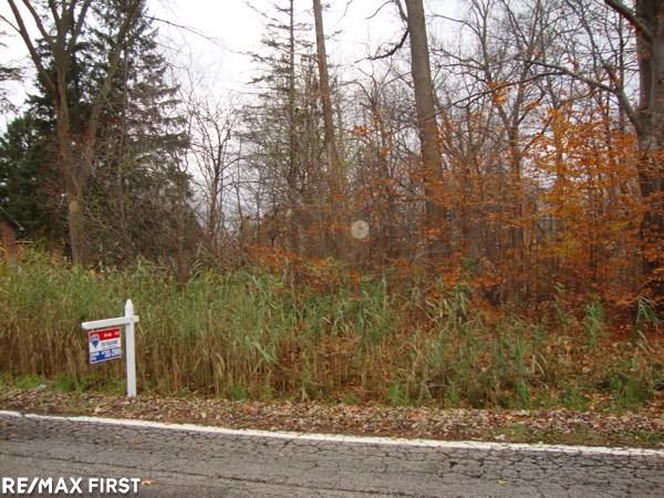 0 Union Lake Road Clinton Township, MI 48036 - Photo 1 of 3