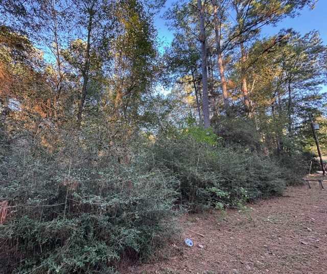 70 Quail Trail Trinity, TX 75862 - Photo 3 of 10 a view of a forest with trees in the background