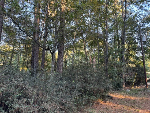 70 Quail Trail Trinity, TX 75862 - Photo 7 of 10 a view of forest