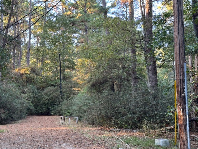 70 Quail Trail Trinity, TX 75862 - Photo 8 of 10 a view of a forest