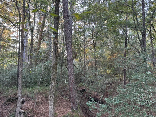 70 Quail Trail Trinity, TX 75862 - Photo 9 of 10 a view of a forest with trees in the background