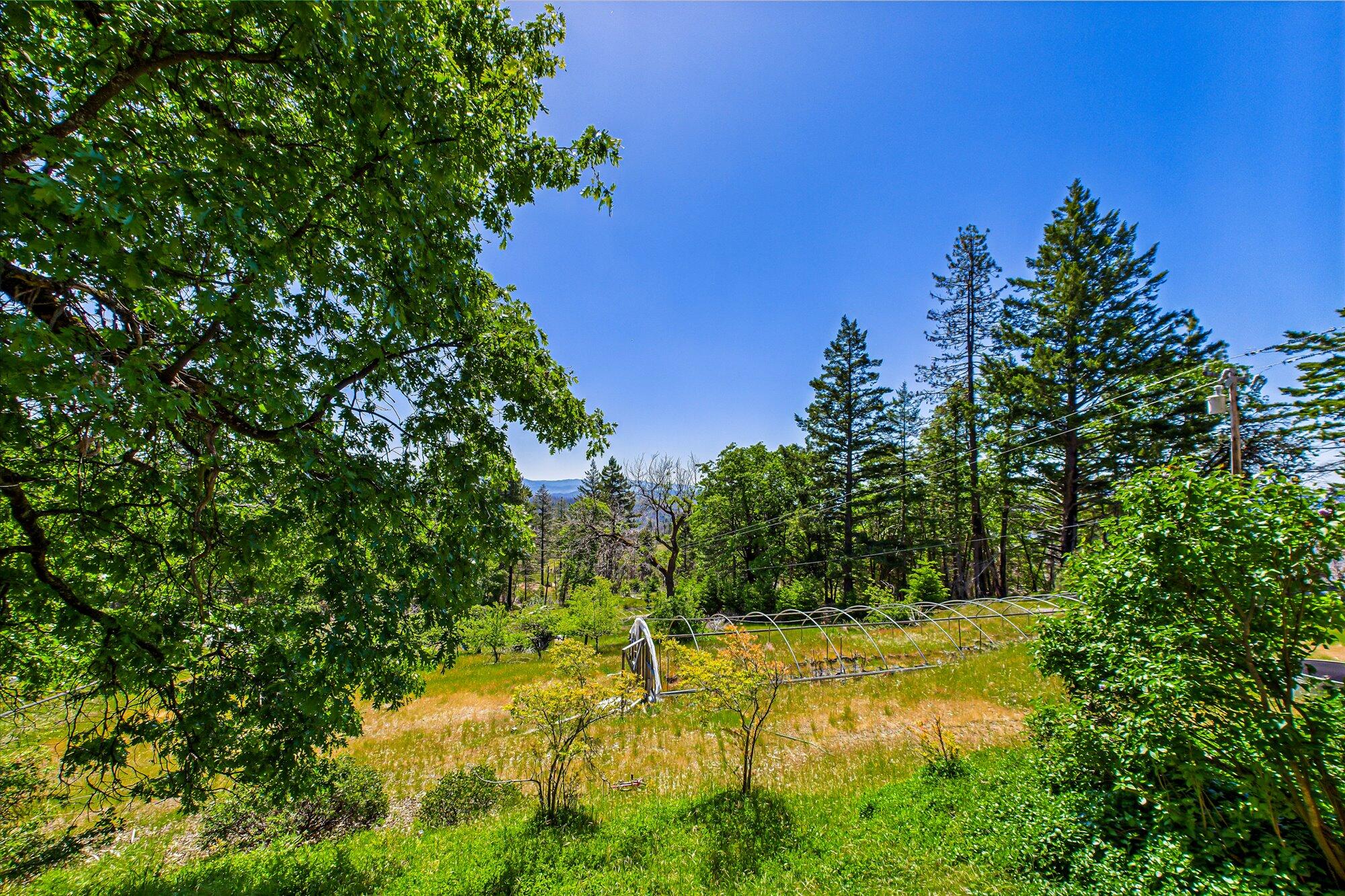 673 Thunderbolt Ranch Road Zenia, CA 95595 - Photo 32 of 45 Gallery Image 32