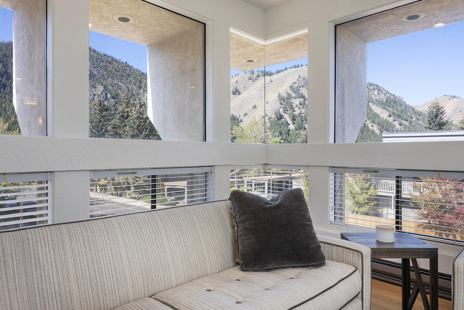 291 2nd Avenue, Unit 1 (TOP) Ketchum, ID 83340 - Photo 1 of 17 Living Room Top Unit1 - (2)