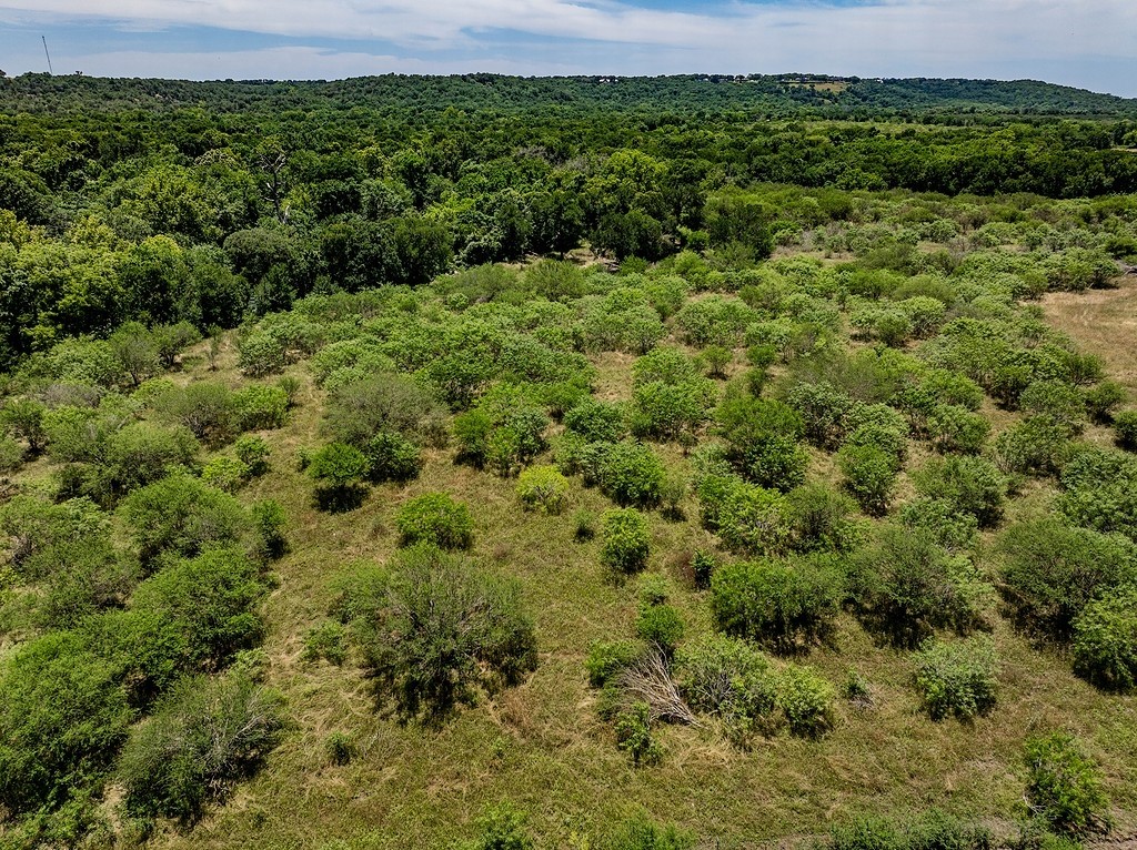 Tbd Bending Road La Grange, TX 78945 - Photo 3 of 13 a view of a big yard with lots of trees
