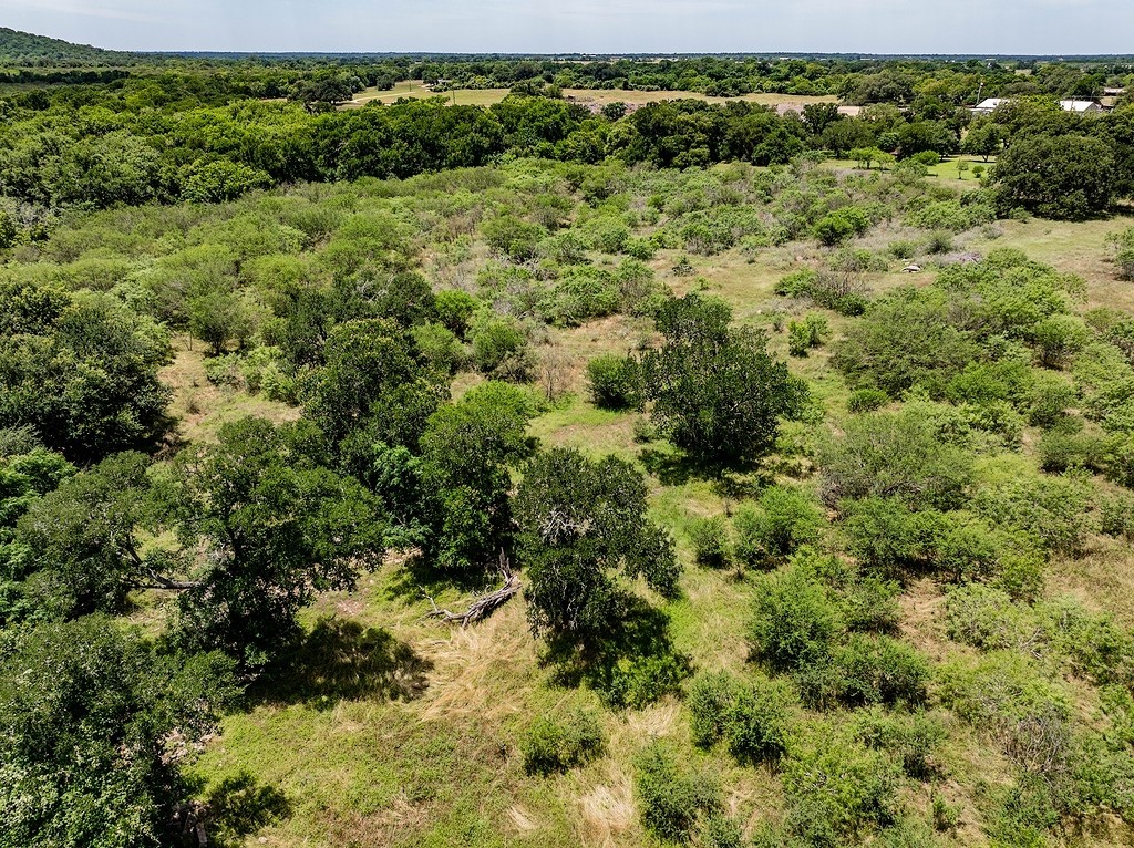 Tbd Bending Road La Grange, TX 78945 - Photo 10 of 13 a view of a forest with a street