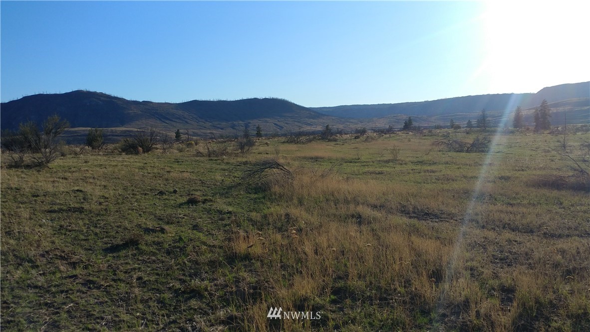 -tbd Tbd Olema Road Malott, WA 98829 - Photo 11 of 16 Gallery Image 11