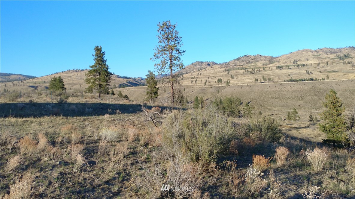 -tbd Tbd Olema Road Malott, WA 98829 - Photo 13 of 16 Gallery Image 13