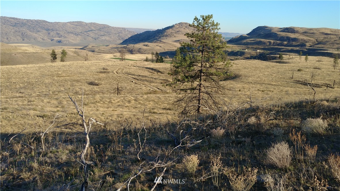 -tbd Tbd Olema Road Malott, WA 98829 - Photo 15 of 16 Gallery Image 15
