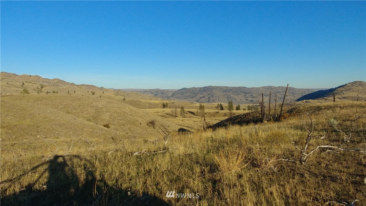 -tbd Tbd Olema Road Malott, WA 98829 - Photo 5 of 16 Gallery Image 5