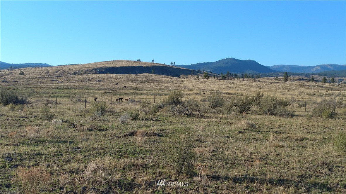 -tbd Tbd Olema Road Malott, WA 98829 - Photo 9 of 16 Gallery Image 9