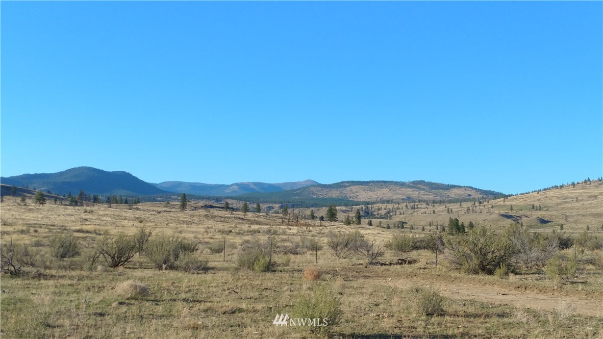 -tbd Tbd Olema Road Malott, WA 98829 - Photo 10 of 16 Gallery Image 10