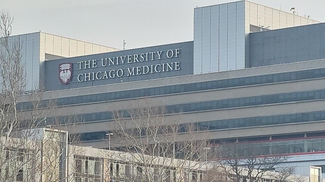 4625 South Michigan Avenue, Unit 1 Chicago, IL 60653 - Photo 18 of 20