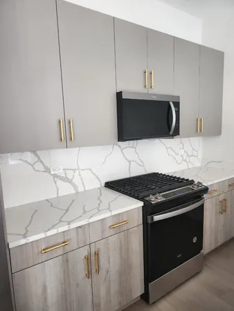 $2,900 | 4625 South Michigan Avenue, Unit 1, Chicago, IL 60653