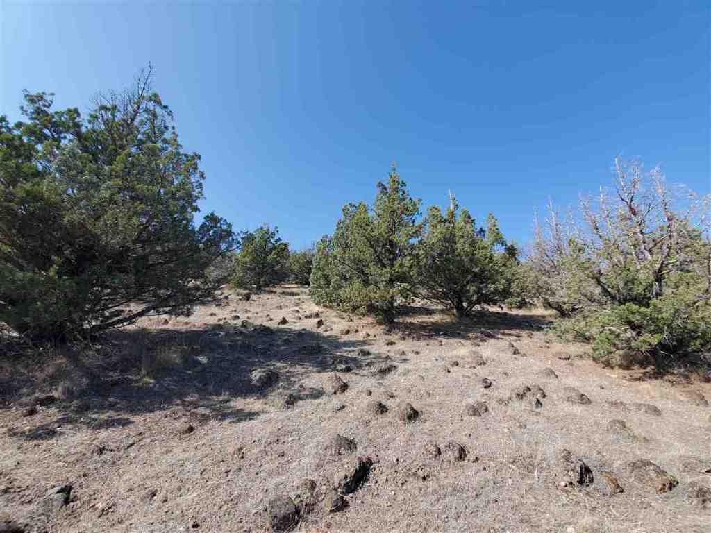 152 Dwinnell Road Weed, CA 96094 - Photo 4 of 26 Gallery Image 4