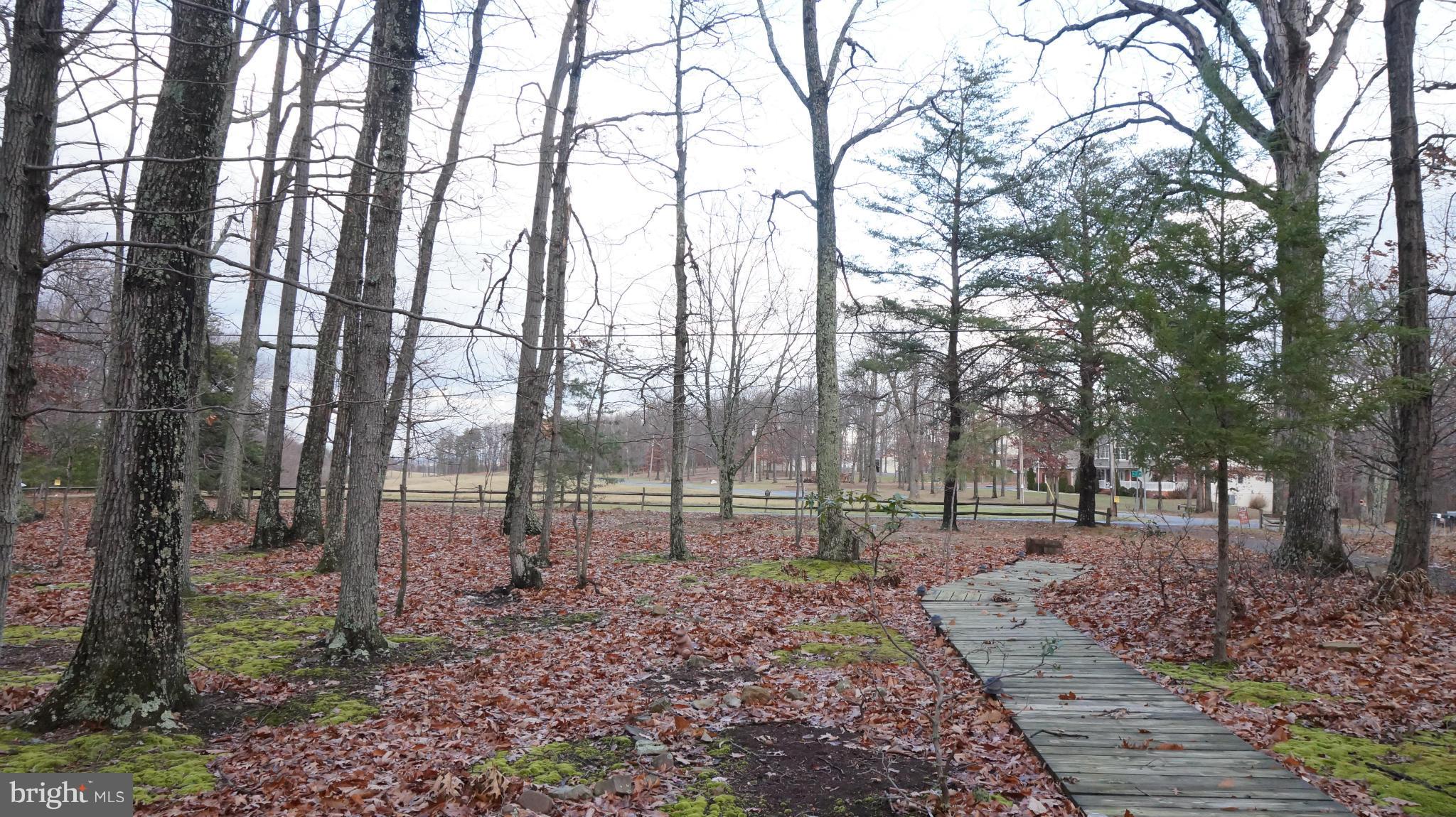 1844 Tabor Road Berkeley Springs, WV 25411 - Photo 22 of 28 View