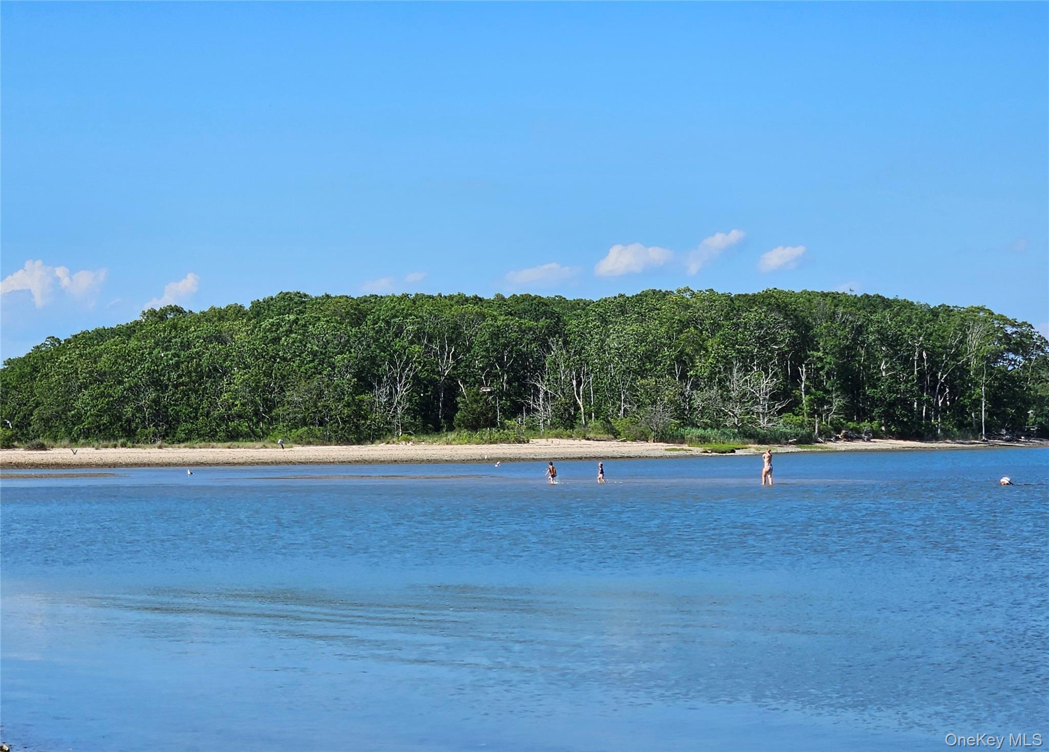 3650 Bay Shore Road Greenport, NY 11944 - Photo 3 of 30 a view of a lake view