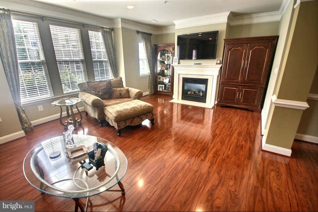 119 Bucksfield Road Gaithersburg, MD 20878 - Photo 7 of 25 Living Room