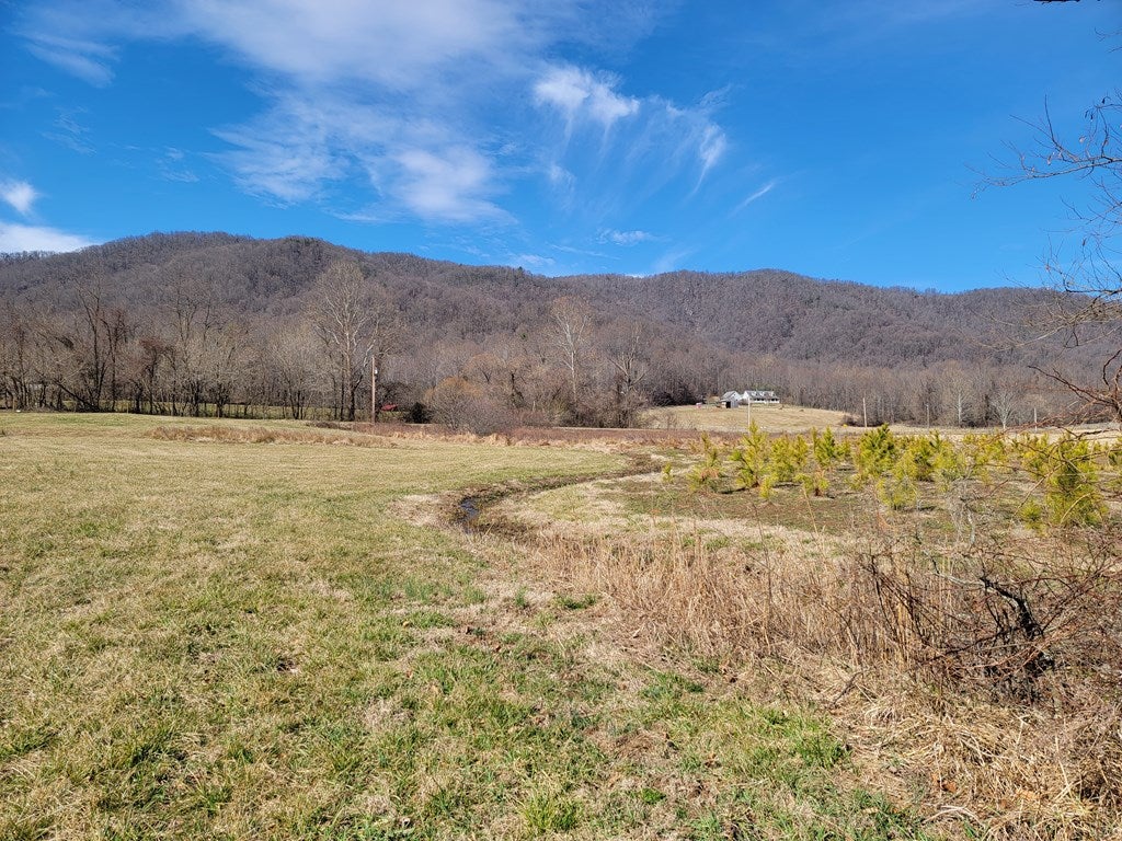 12306 Callaway Road Callaway, VA 24067 - Photo 31 of 53 Gallery Image 31