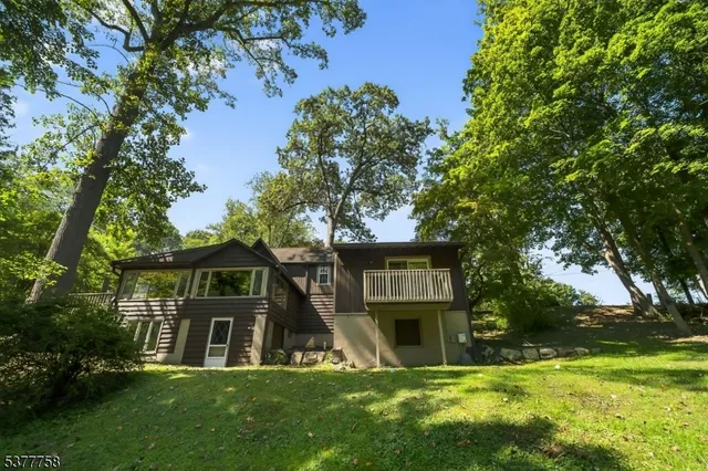 a view of a park with large trees