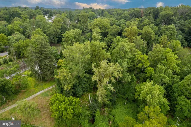 a view of a forest with a houses