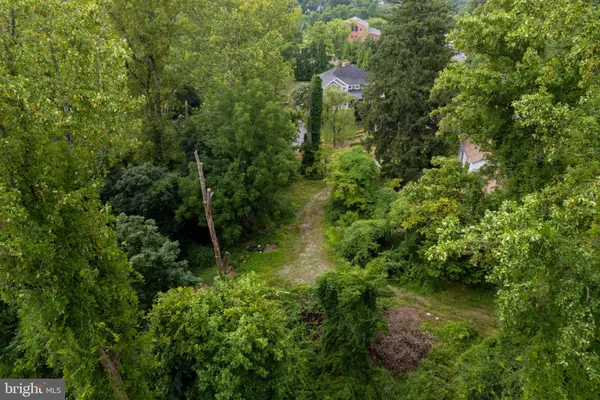 a view of a garden