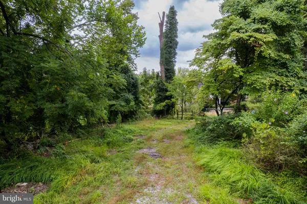 a big yard with lots of green space and plants