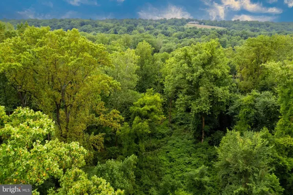 a view of a lush green hillside and houses