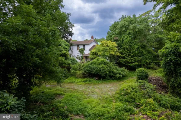 a view of a garden
