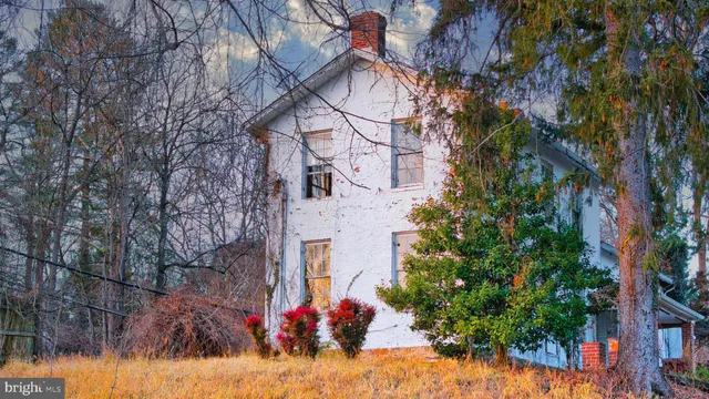 a view of a house with a tree