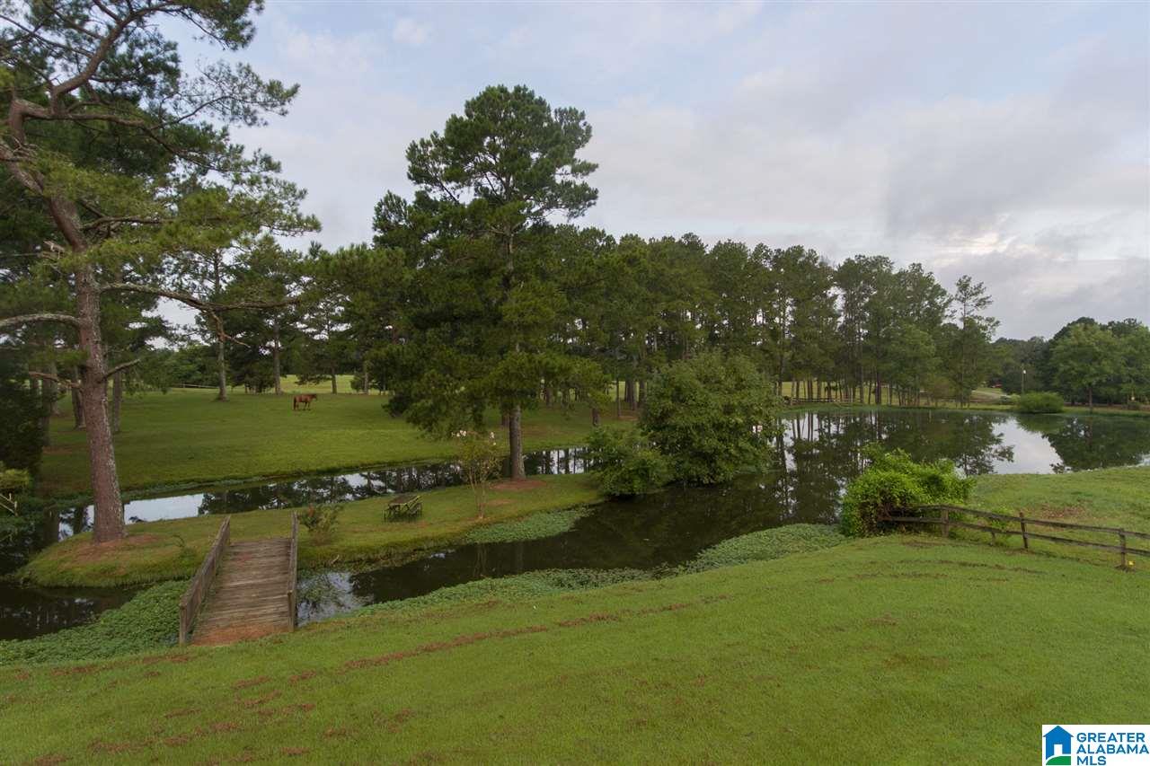 1366 Holland-Finley Road Jacksonville, AL 36265 - Photo 11 of 33