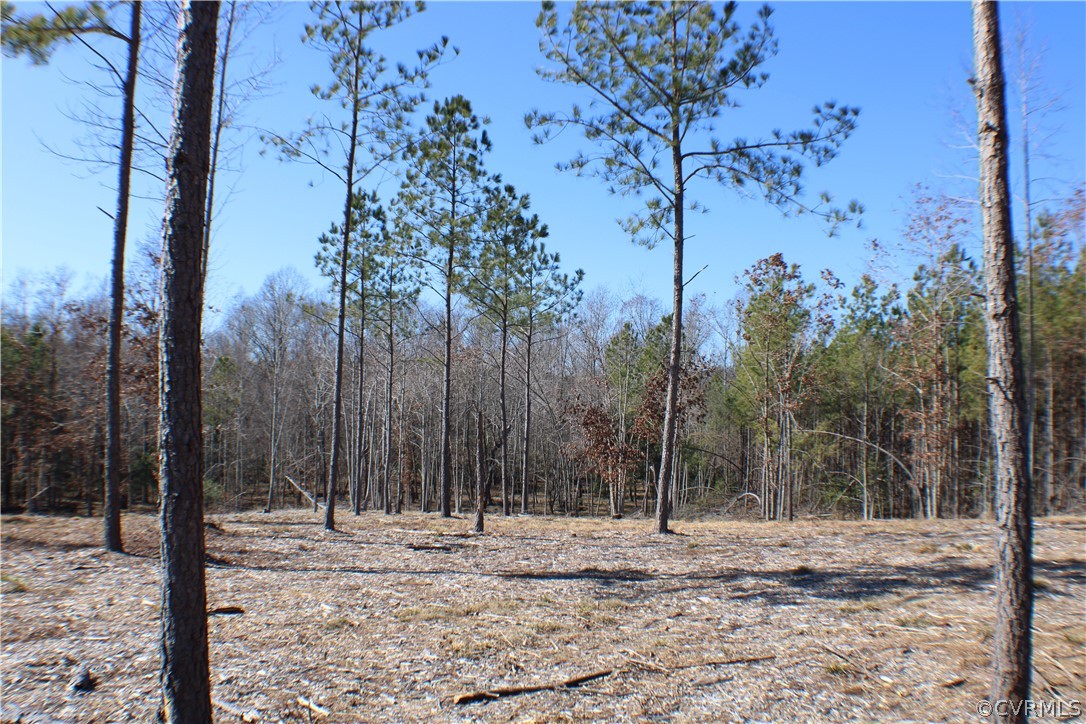 a view of a backyard of the house